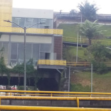 La maleza invadió la fachada de escenario deportivo en Manizales